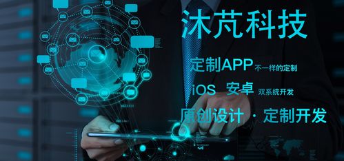 郑州软件定制开发与网络信息安全服务一站式解决方案